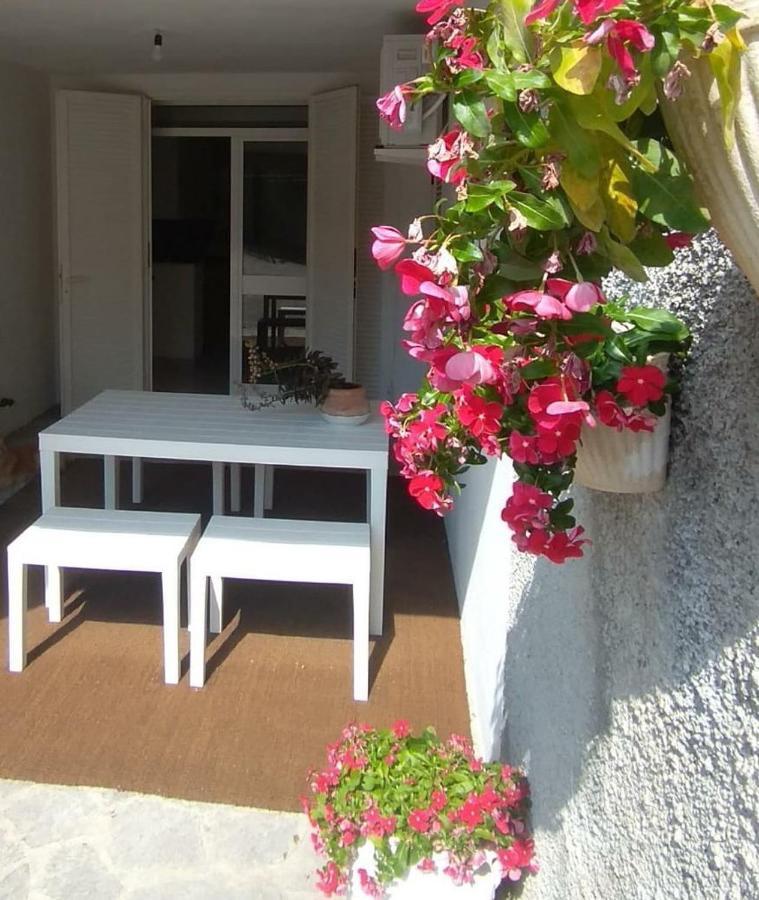 Garden Apartment Maratea Exteriér fotografie